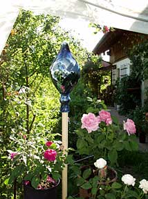 Impressionen aus meinem Rosengarten, Bild Nr.9